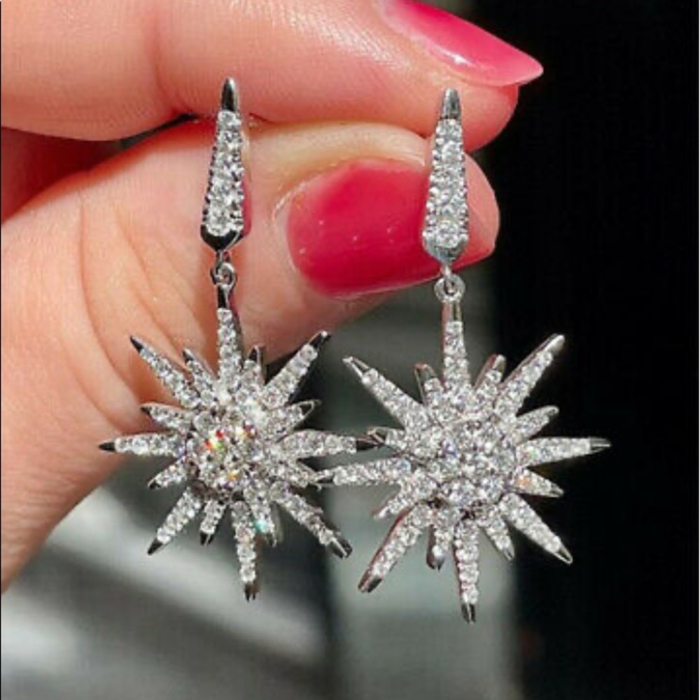 NWT LUXURY STERLING SILVER Earrings